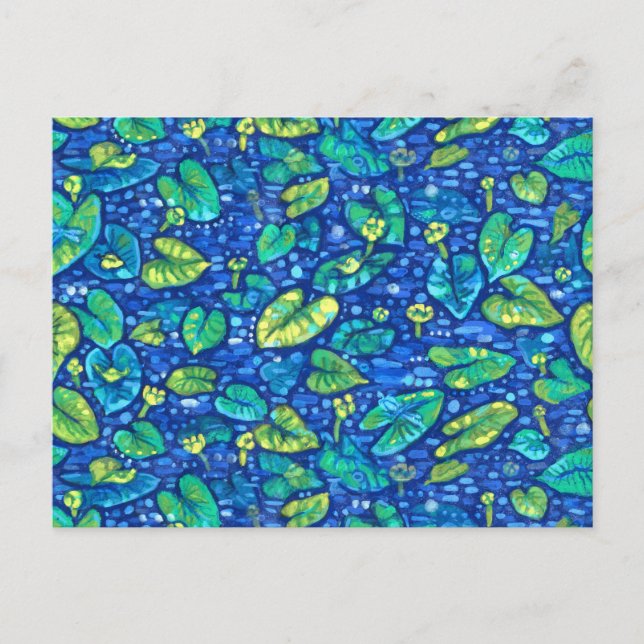 Cartão Postal Lírios de Vaca, Lírio de Lagoa Sputterdock Padrão  (Frente)