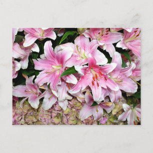 Cartão Postal Lírios e Hidrangea Rosa