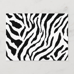 Cartão Postal Listrado de Zebra