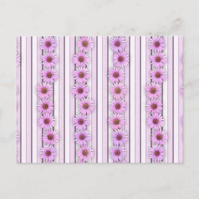 Cartão Postal Listras de Flor de Echinacea (Frente)