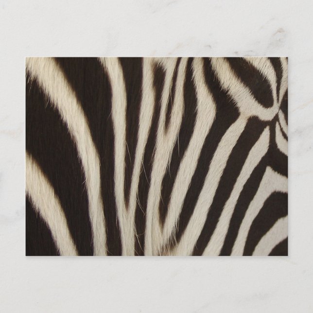 Cartão Postal Listras de Z (Frente)