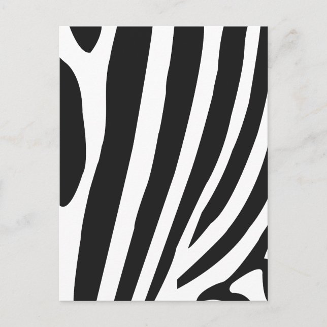 Cartão Postal Listras de Zebra Pretas e Brancas (Frente)