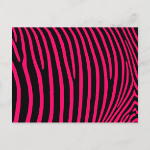 Cartão Postal Listras de Zebra Rosa Quente