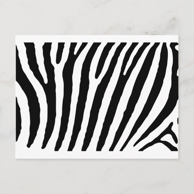 Cartão Postal Listras Pretas e Brancas de Zebra (Frente)
