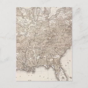 Cartão Postal Literacia masculina branca