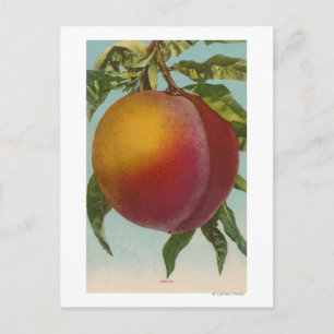 Cartão Postal Litógrafo Cromo fruta de PeachFrutState