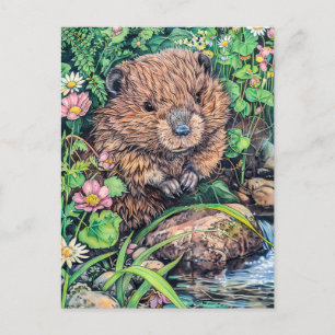 Cartão Postal Little Beaver do Creek Bank