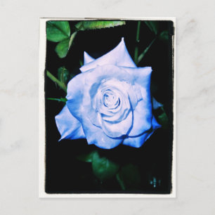 Cartão Postal Little Blue Princess