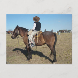 Cartão Postal Little Gaucho