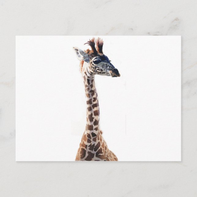 Cartão Postal "Little Giraffe" Selvagem (Frente)