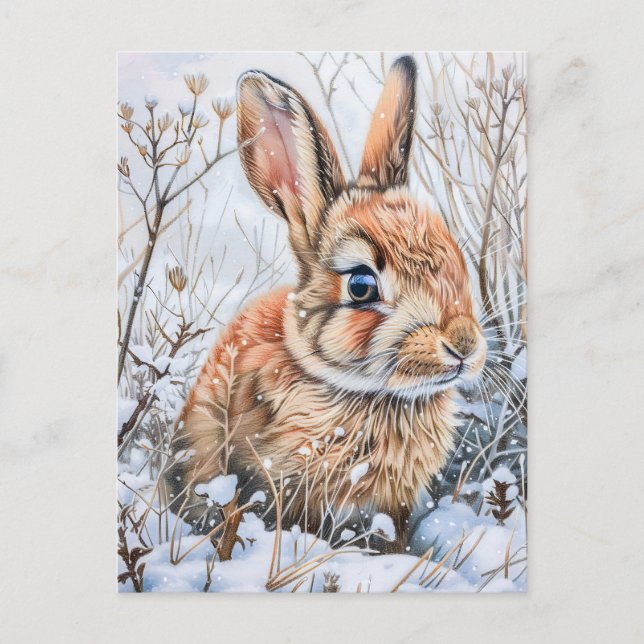 Cartão Postal Little Hare em Snowy Field. Rabbit Bunny (Frente)