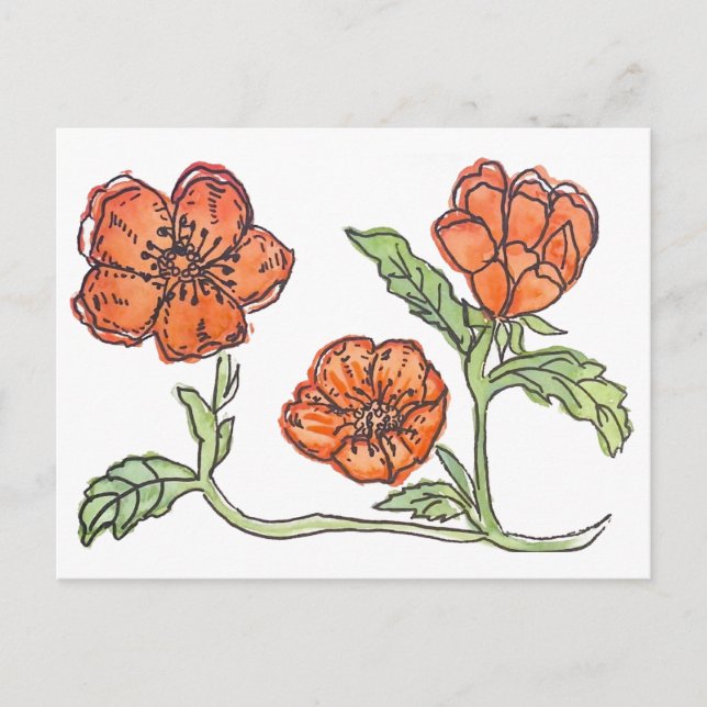 Cartão postal Little Poppy (Frente)