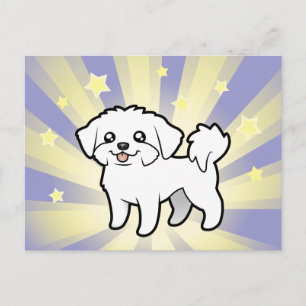 Cartão Postal Little Star Maltês (corte de cachorrinho)