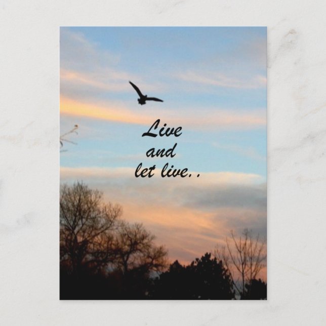 Cartão Postal Live and Let Live (Frente)