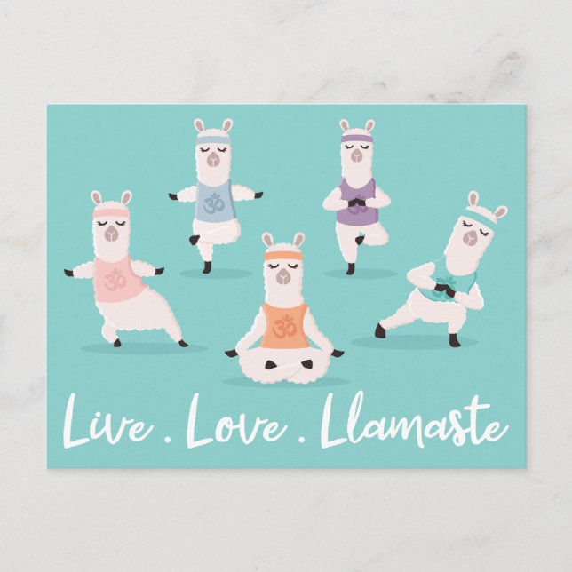 Cartão Postal Live Love Llamaste | Caracteres divertidos de Yoga (Frente)
