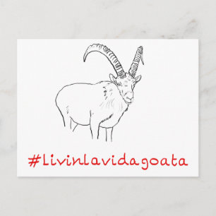 Cartão Postal Livin La Vida Goata Engraçado Slogan de Arte Goat 