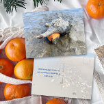 Cartão Postal Living Horse Conch Florida Wildlife Photography<br><div class="desc">Florida wild sea snail photography postcard. A living horse conch seashell, with orange snail inside, is on the mud left at low tide. A lucky find while boating the saltwater river, this large mollusk is the state shell of Florida. This shell is not very pretty, with barnacles on it, but...</div>