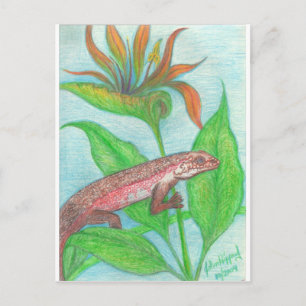 Cartão Postal Lizzzard