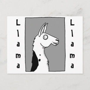 Cartão Postal Llama