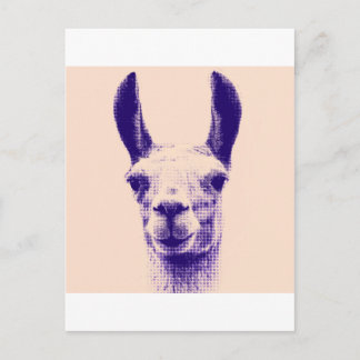 Cartão Postal Llama