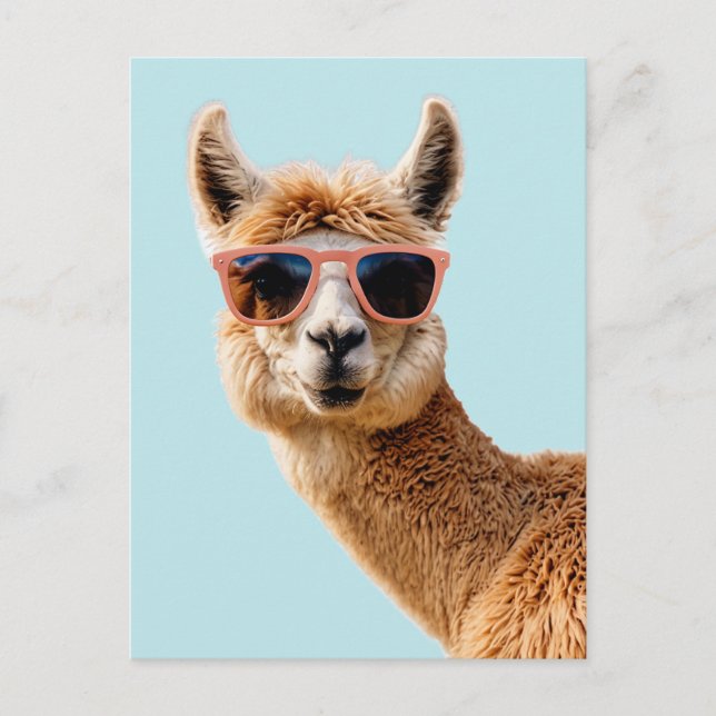 Cartão Postal Llama Bonito Com Óculos De Sol (Frente)