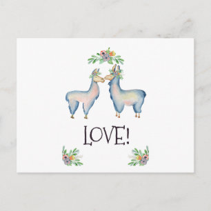 Cartão Postal Llama está apaixonado