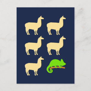 Cartão Postal Llama Llama Llama Llama Llama Chameleon