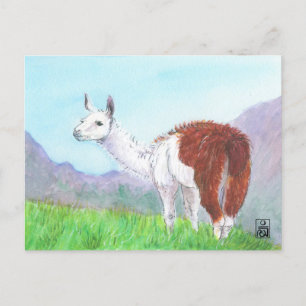 Cartão Postal Llama nos Andes