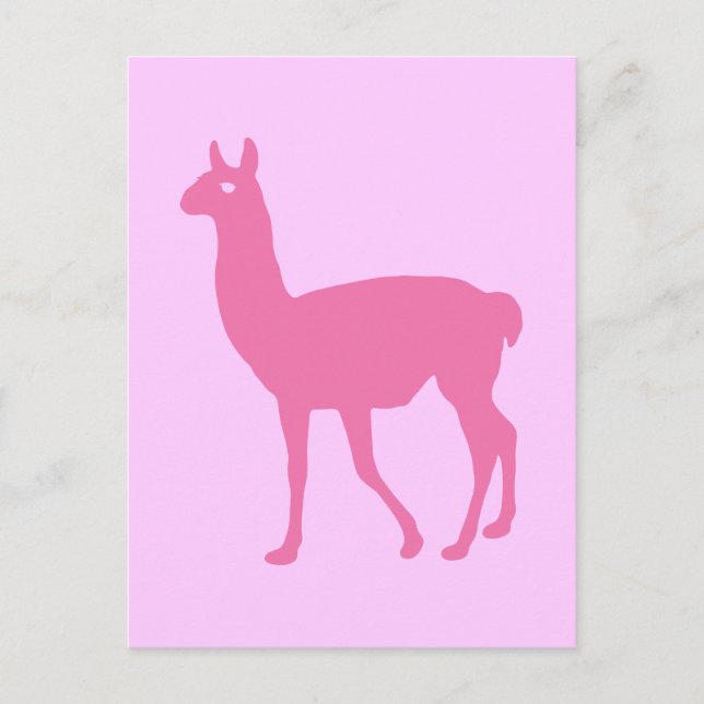Cartão Postal Llama Rosa (Frente)
