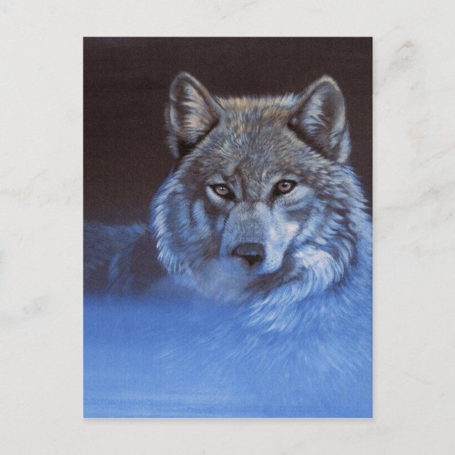 Cartão Postal Lobo Azul (Frente)