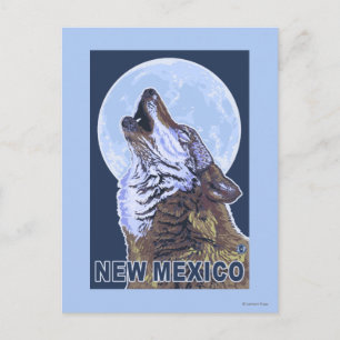 Cartão Postal Lobo Cinzento UivandoNovo México