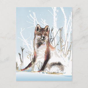 Cartão Postal Lobo de inverno