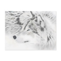 Lobo de prata bonito