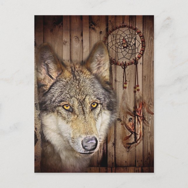 Cartão Postal Lobo indígena americano nativo caçador de sonhos o (Frente)