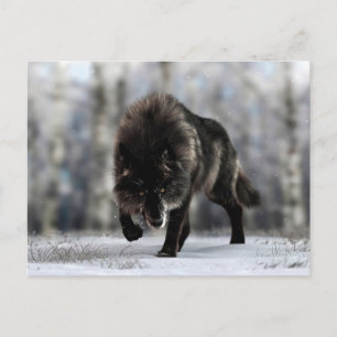 Cartão Postal Lobo negro zangado