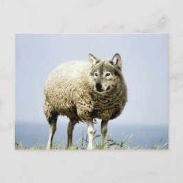 Cartão Postal Lobo no Vestuário