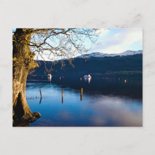 Cartão Postal Loch Lomond, Tarbet, Scotland Postcard