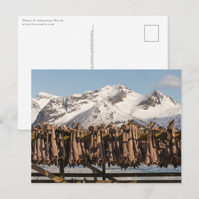 Cartão Postal Lofoten Stockfish (Frente/Verso)