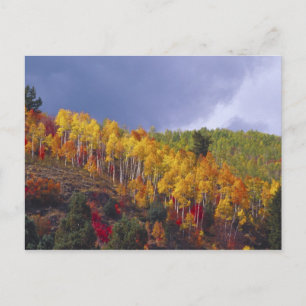 Cartão Postal Logan Canyon in Utah in autumn with passing