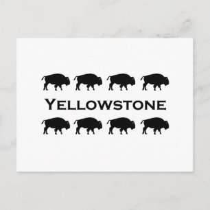 Cartão Postal Logotipo Bison Yellowstone