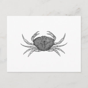 Cartão Postal Logotipo do caranguejo Dungeness (arte linear)