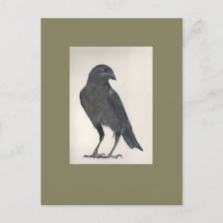 Cartão Postal L'oiseau fier