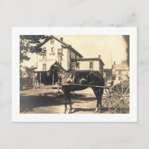 Cartão Postal Loja Beaty, Califon, Nova Jersey Vintage