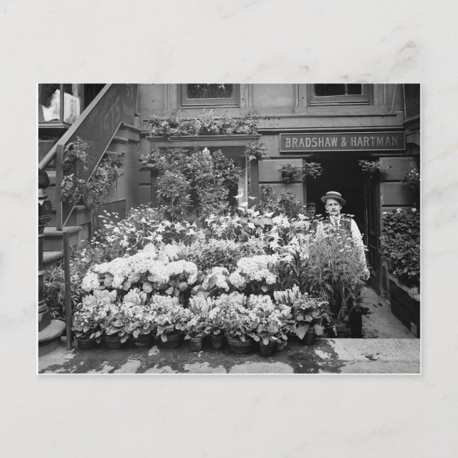 Cartão Postal Loja de Flores de Nova York, 1895 (Frente)