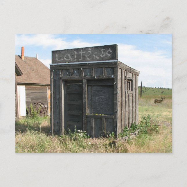 Cartão Postal Loja do YE Olde Latte (Frente)