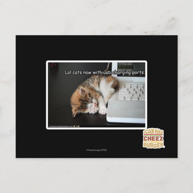 Cartão Postal Lol cats com USB (Frente)