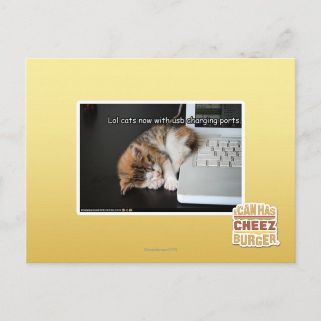 Cartão Postal Lol cats com USB (Frente)