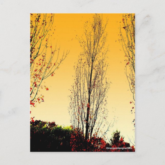 Cartão Postal Lone Sentinel (Frente)