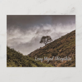 Cartão Postal Lone Tree Long Mynd Shropshire