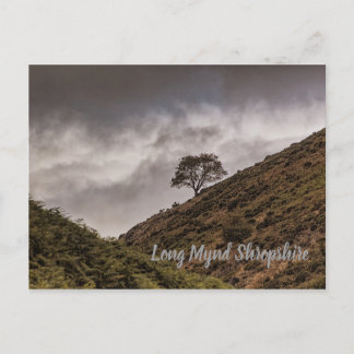 Cartão Postal Lone Tree Long Mynd Shropshire